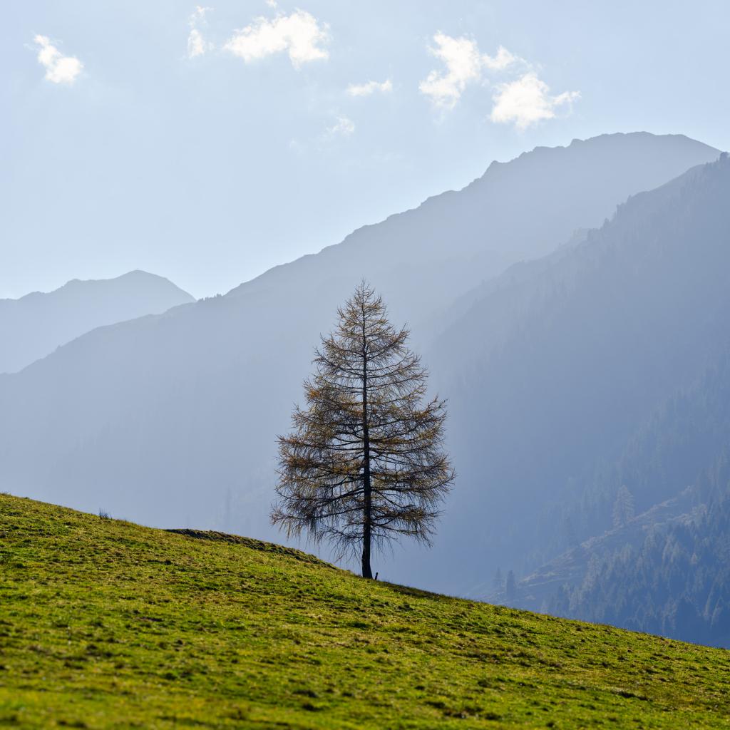 _DSF0482 Panorama.jpg